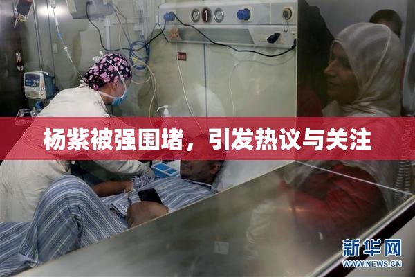 杨紫被强围堵，引发热议与关注