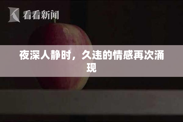 夜深人静时，久违的情感再次涌现