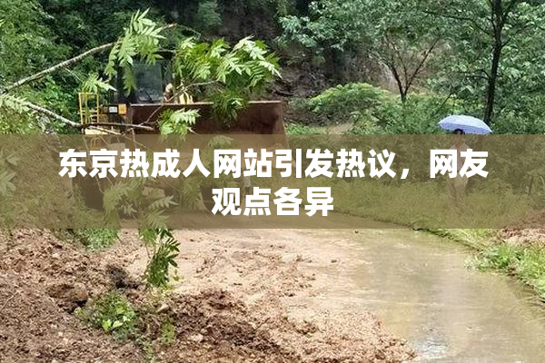 东京热成人网站引发热议，网友观点各异