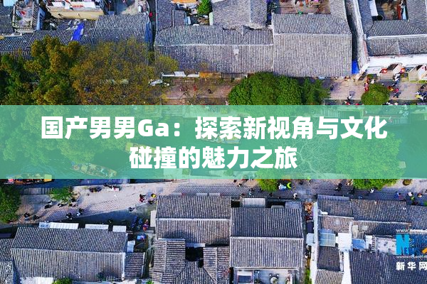 国产男男Ga：探索新视角与文化碰撞的魅力之旅