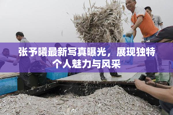 张予曦最新写真曝光，展现独特个人魅力与风采