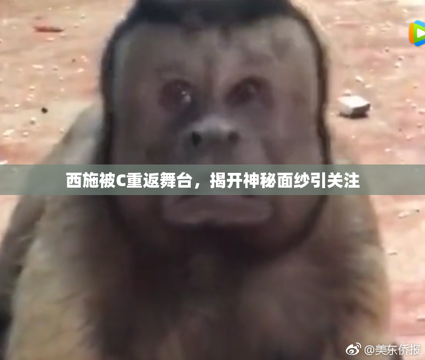 西施被C重返舞台，揭开神秘面纱引关注