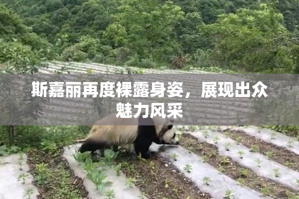 斯嘉丽再度裸露身姿，展现出众魅力风采