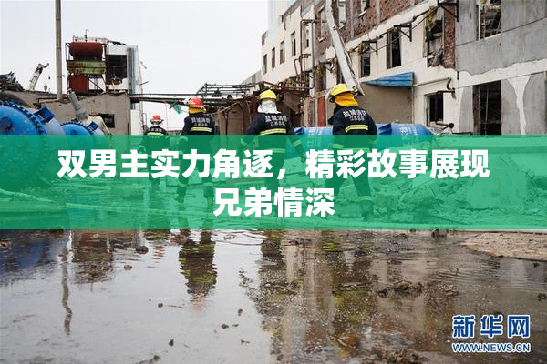 双男主实力角逐，精彩故事展现兄弟情深