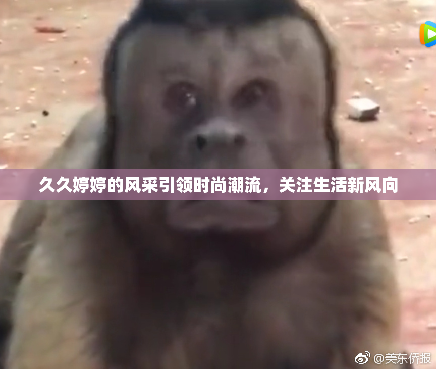 久久婷婷的风采引领时尚潮流，关注生活新风向