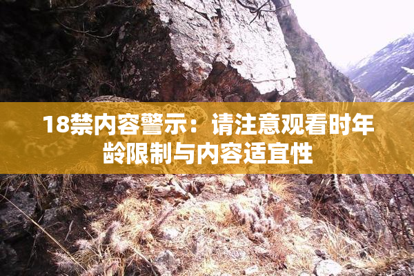 18禁内容警示：请注意观看时年龄限制与内容适宜性