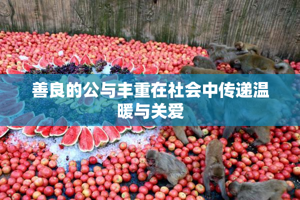 善良的公与丰重在社会中传递温暖与关爱