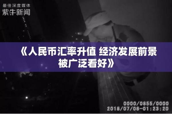 《人民币汇率升值 经济发展前景被广泛看好》