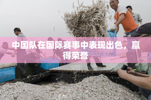 中国队在国际赛事中表现出色，赢得荣誉
