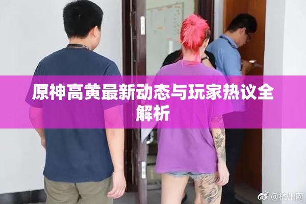 原神高黄最新动态与玩家热议全解析