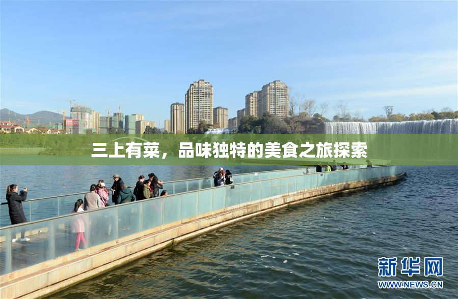 三上有菜，品味独特的美食之旅探索