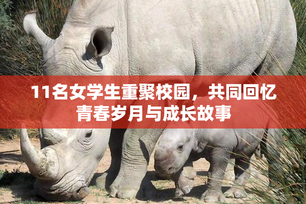 11名女学生重聚校园，共同回忆青春岁月与成长故事