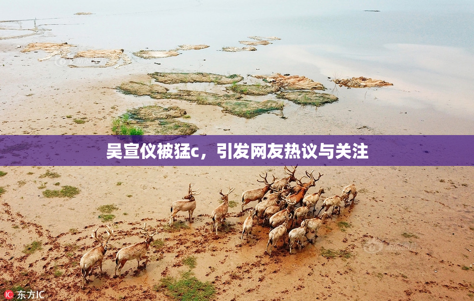 吴宣仪被猛c，引发网友热议与关注
