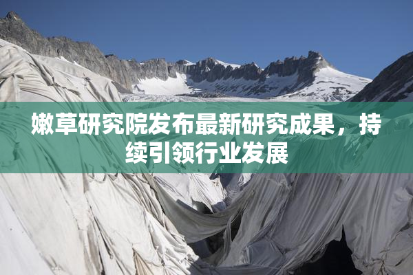 嫩草研究院发布最新研究成果，持续引领行业发展