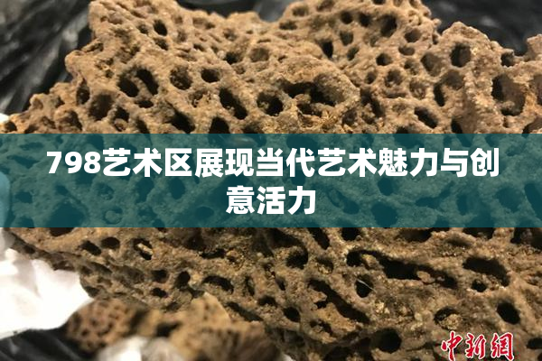 798艺术区展现当代艺术魅力与创意活力