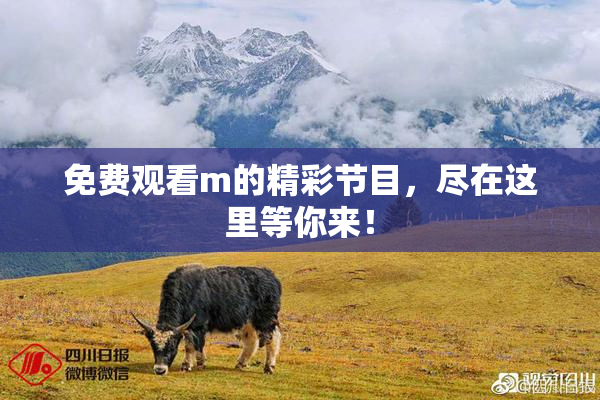 免费观看m的精彩节目，尽在这里等你来！