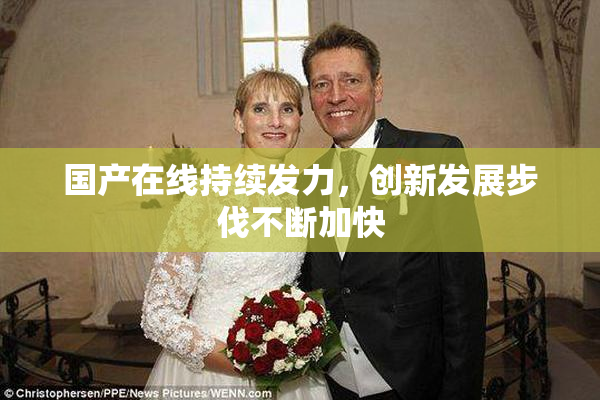 国产在线持续发力，创新发展步伐不断加快