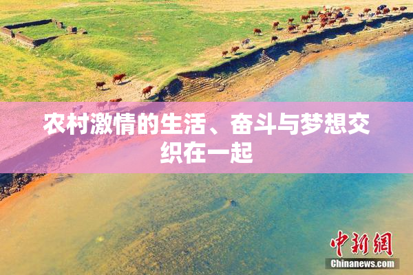 农村激情的生活、奋斗与梦想交织在一起