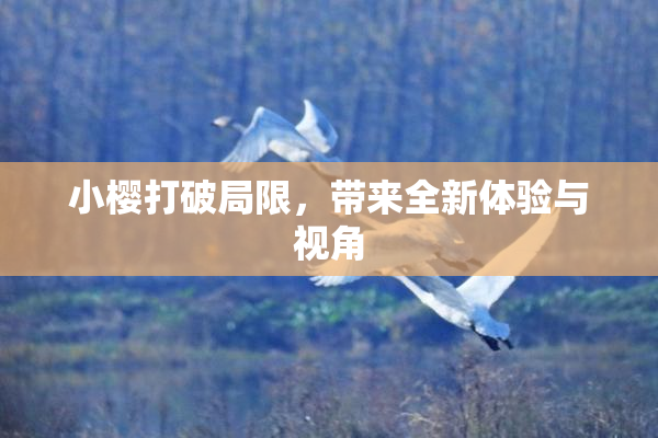 小樱打破局限，带来全新体验与视角