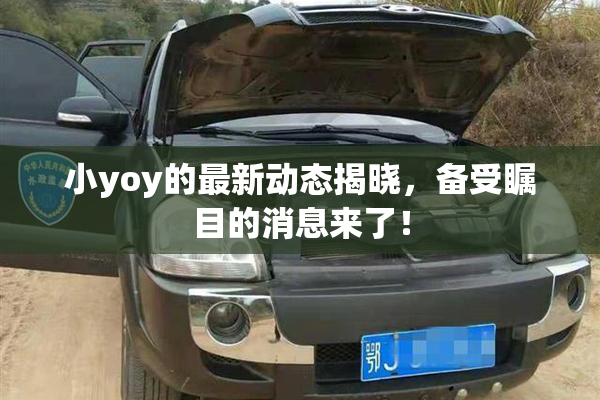 小yoy的最新动态揭晓，备受瞩目的消息来了！