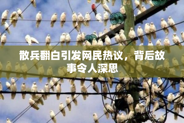 散兵翻白引发网民热议，背后故事令人深思