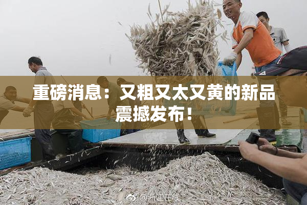 重磅消息：又粗又太又黄的新品震撼发布！