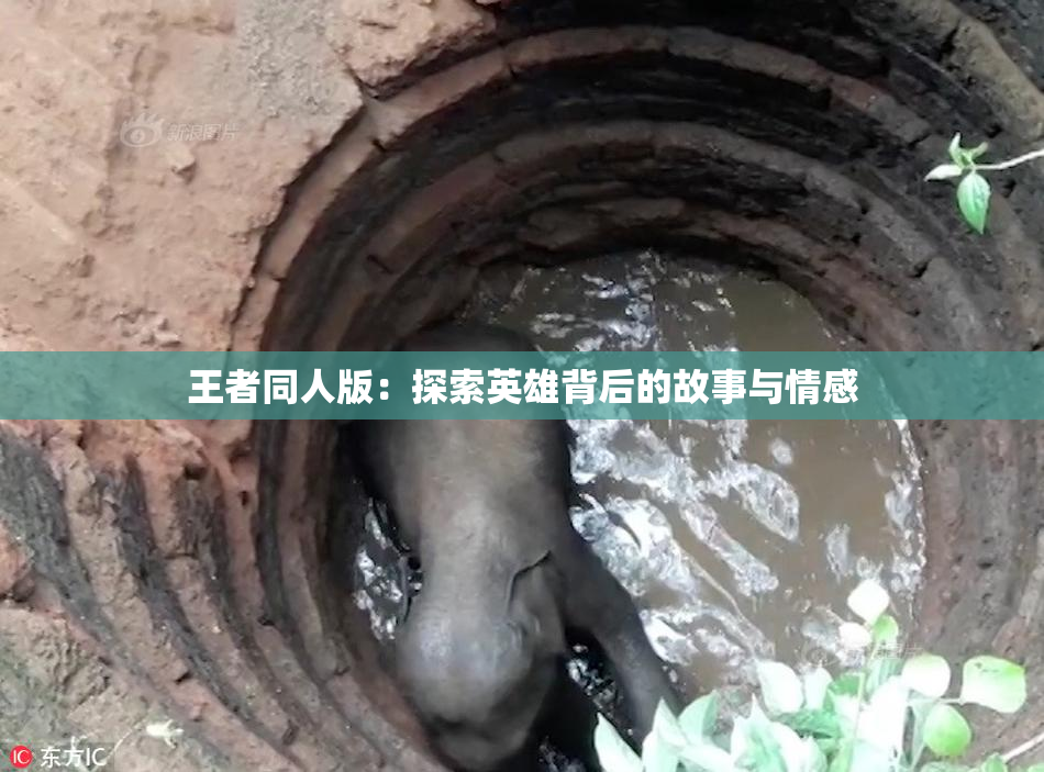 王者同人版：探索英雄背后的故事与情感