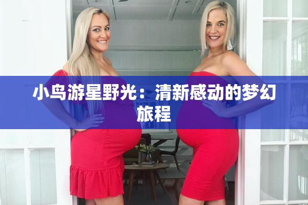 小鸟游星野光：清新感动的梦幻旅程