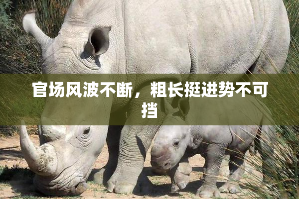 官场风波不断，粗长挺进势不可挡