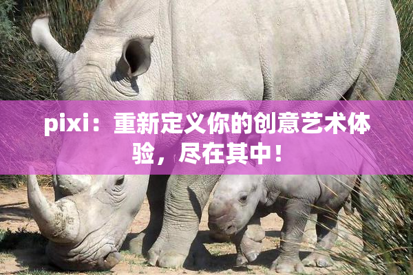 pixi：重新定义你的创意艺术体验，尽在其中！