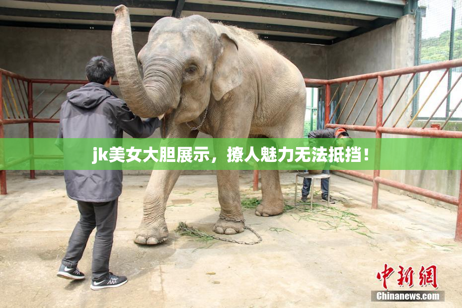 jk美女大胆展示，撩人魅力无法抵挡！