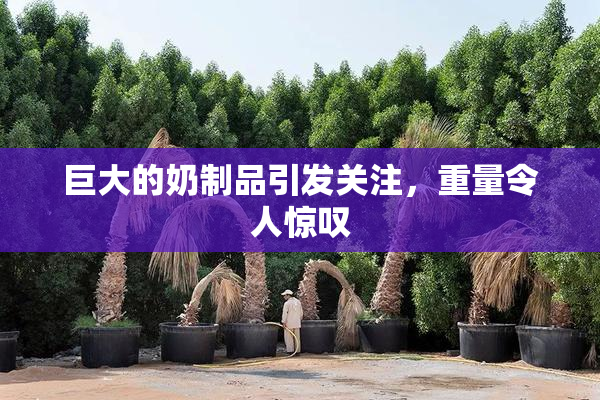 巨大的奶制品引发关注，重量令人惊叹