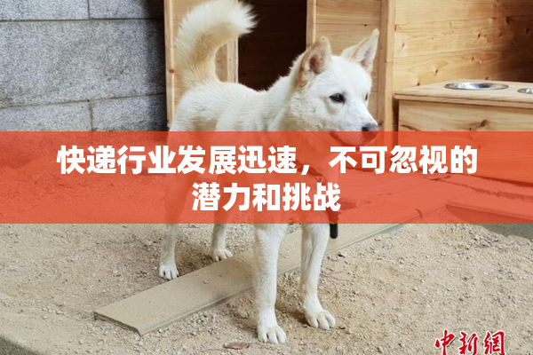 快递行业发展迅速，不可忽视的潜力和挑战