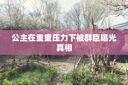 公主在重重压力下被群臣曝光真相
