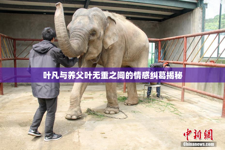 叶凡与养父叶无重之间的情感纠葛揭秘