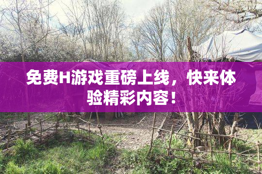 免费H游戏重磅上线，快来体验精彩内容！