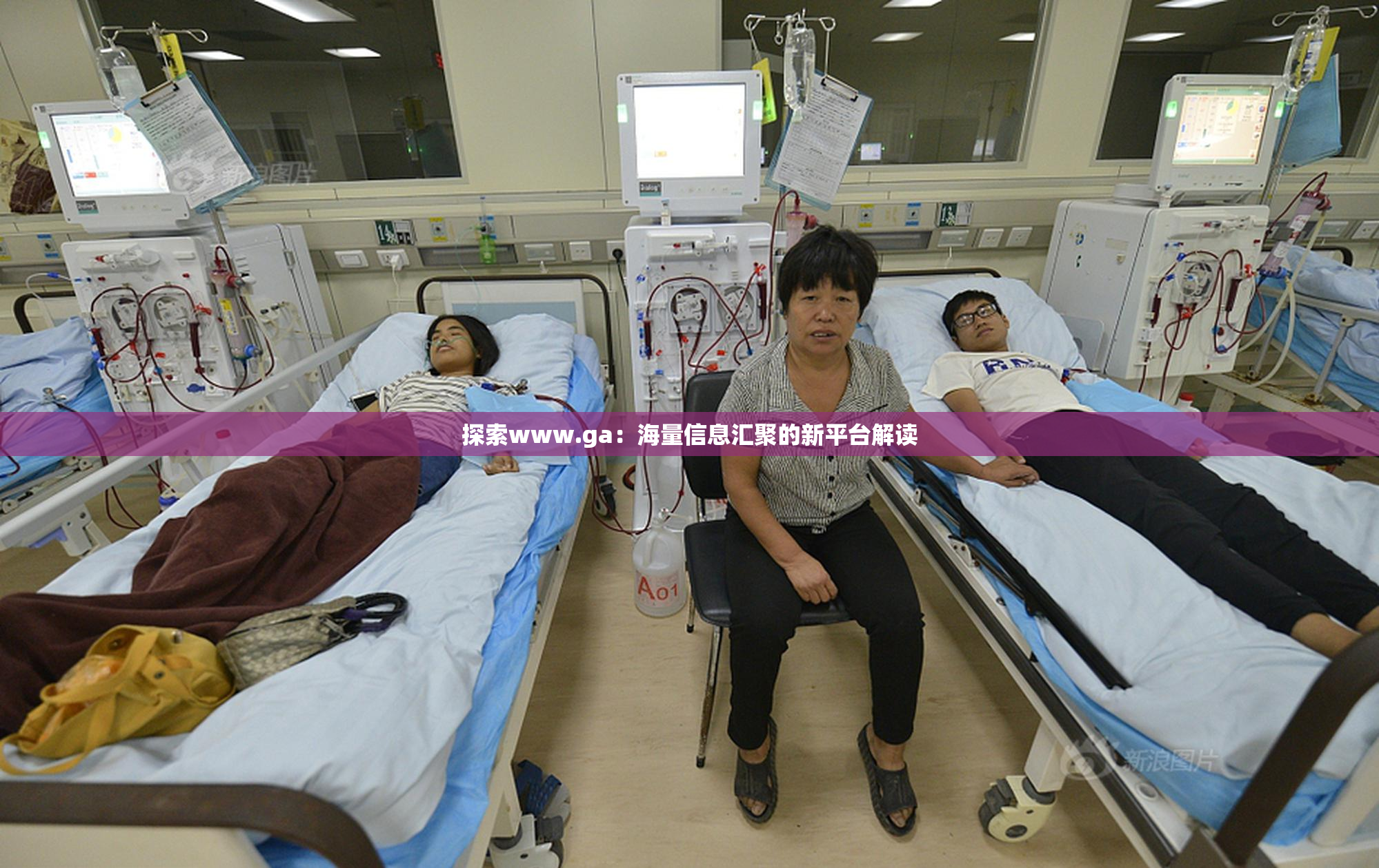 探索www.ga：海量信息汇聚的新平台解读