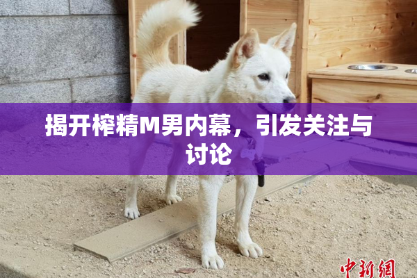 揭开榨精M男内幕，引发关注与讨论