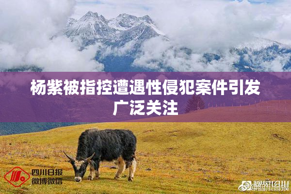 杨紫被指控遭遇性侵犯案件引发广泛关注