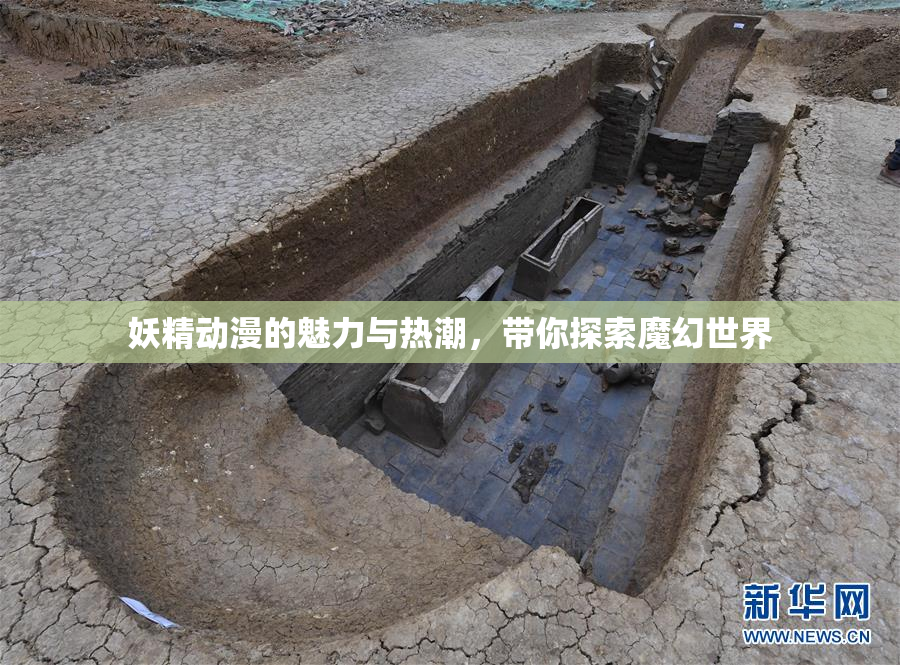 妖精动漫的魅力与热潮，带你探索魔幻世界