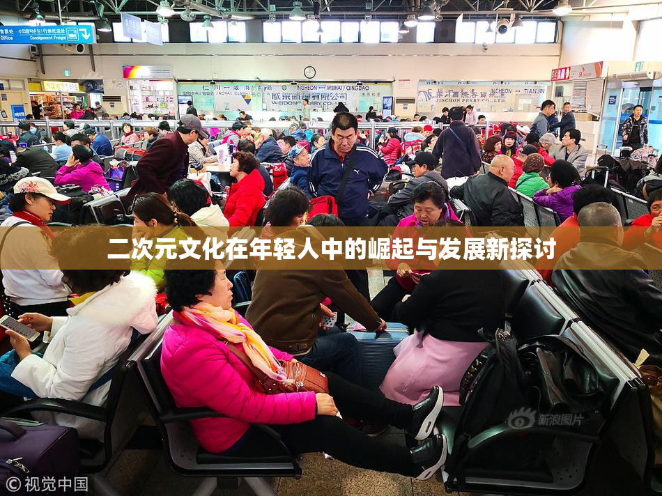 二次元文化在年轻人中的崛起与发展新探讨