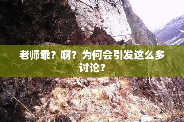 老师乖？啊？为何会引发这么多讨论？