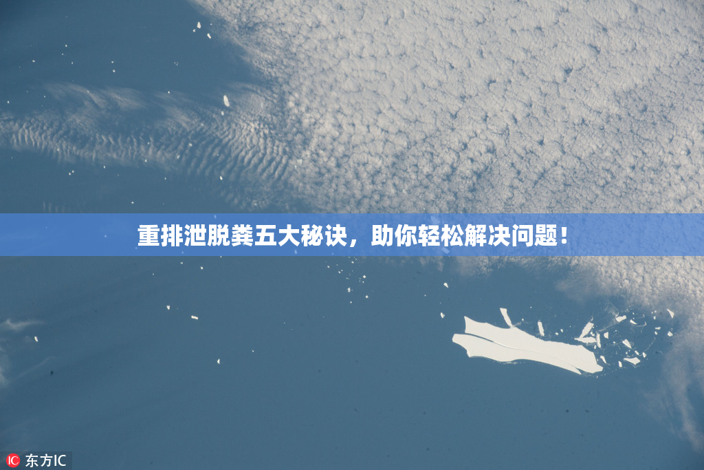 重排泄脱粪五大秘诀，助你轻松解决问题！