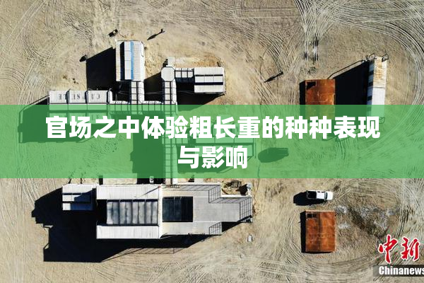 官场之中体验粗长重的种种表现与影响