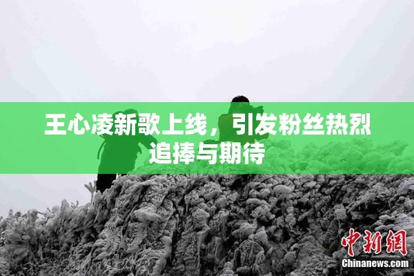 王心凌新歌上线，引发粉丝热烈追捧与期待