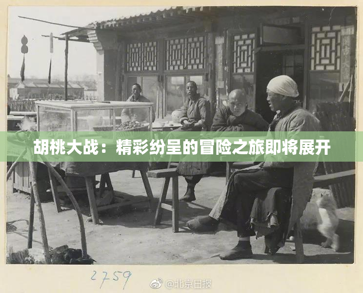 胡桃大战：精彩纷呈的冒险之旅即将展开