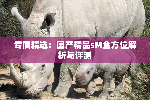专属精选：国产精品sM全方位解析与评测