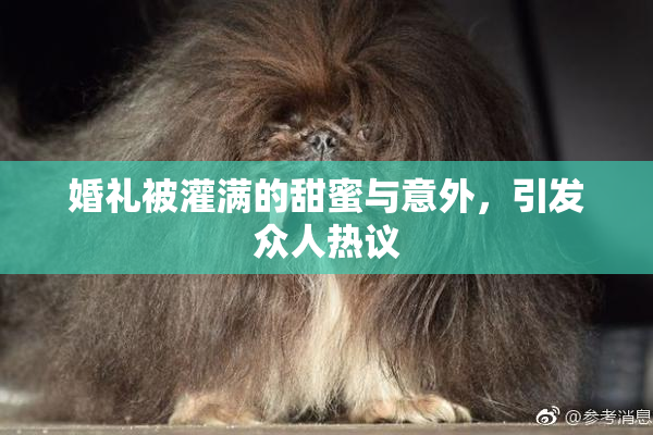 婚礼被灌满的甜蜜与意外，引发众人热议