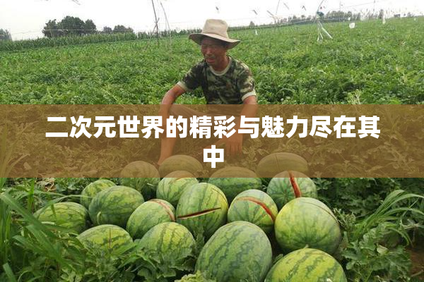 二次元世界的精彩与魅力尽在其中