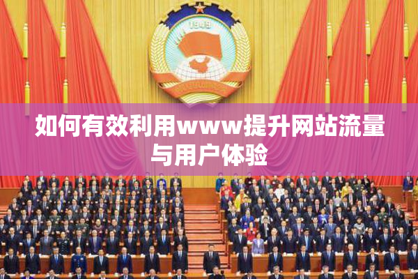 如何有效利用www提升网站流量与用户体验